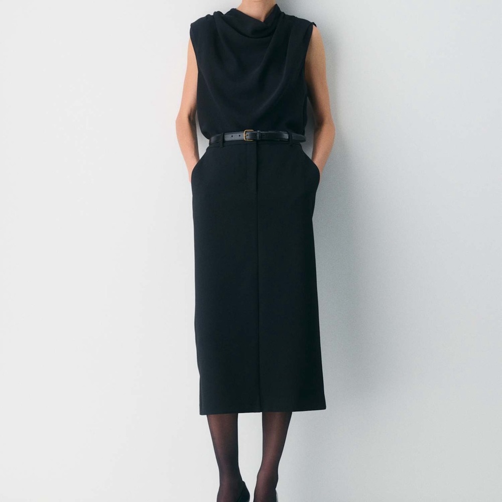 Aritzia Babaton Chisel Maxi skirt